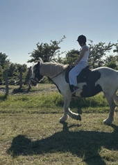 Ridehold - Letøvet/øvet - Klik for at tilmelde dig