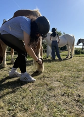 Ridehold - Nybegynder  - Klik for at tilmelde dig